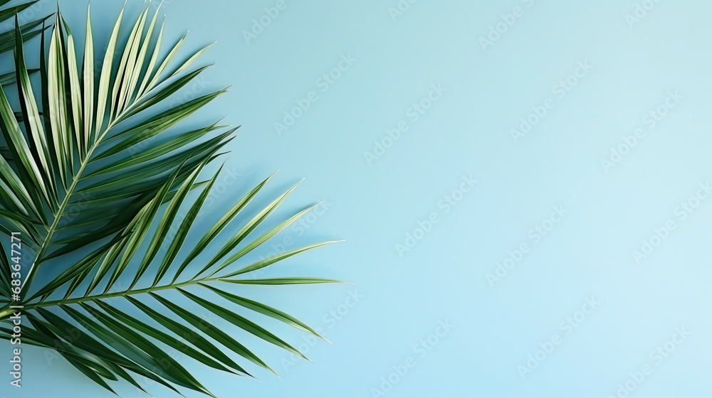 Blurred shadow from palm leaves on the light blue wall. Minimal abstract background for product presentation. Spring and summer. empty blue wall, copy space Blurred shadow from palm leaves on the light blue wall. Minimal abstract background for product presentation. Spring and summer. empty blue wall, copy space