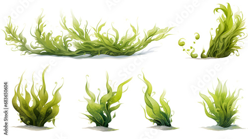 grass on an isolated white background painted with watercolor