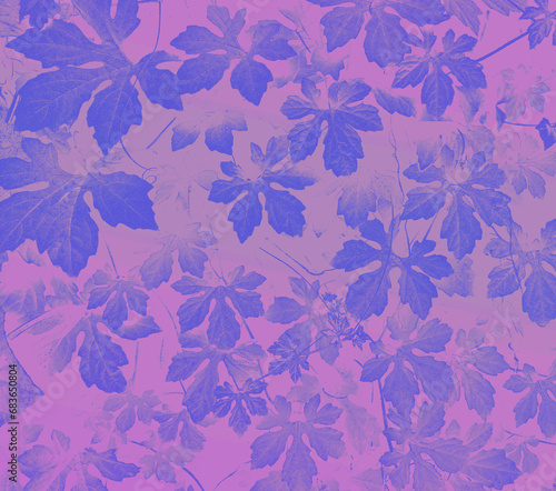 Blue leaf drawing-like illustration, pink gradient background