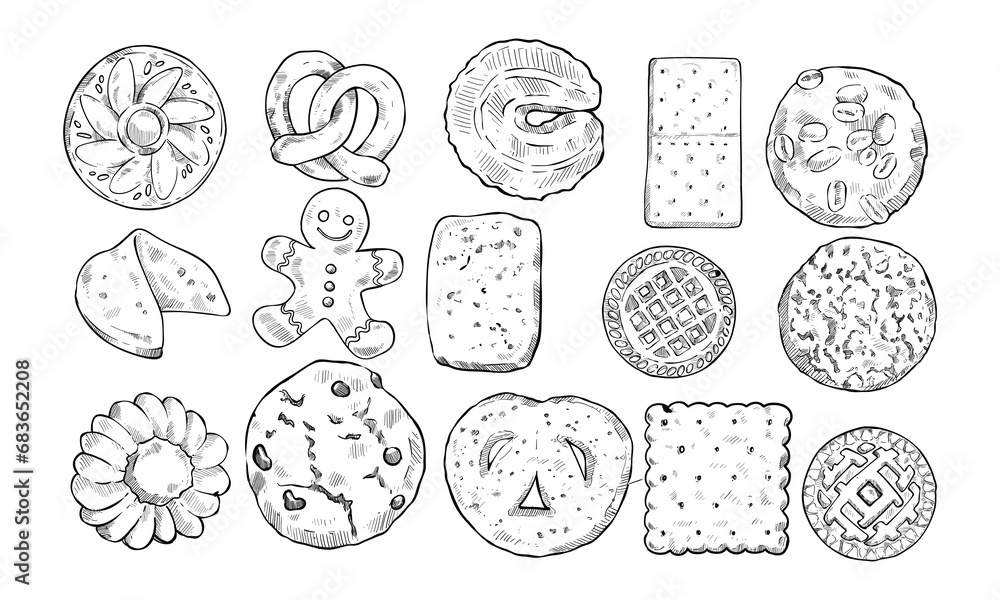 biscuit shape handdrawn illustration engraving biscuit shape handdrawn illustration engraving