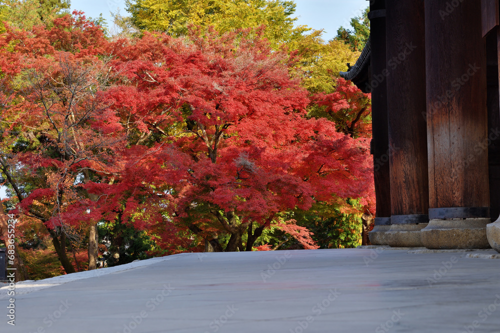 南禅寺の紅葉