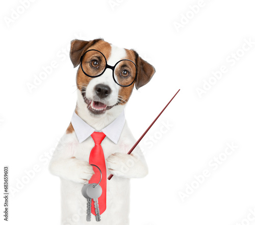 Jack russell terrier puppy wearing necktie and eyeglasses holds in his paw the keys to a new apartment and points away on empty space. Isolated on white background © Ermolaev Alexandr