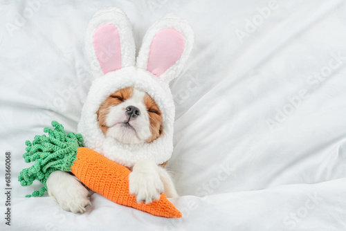 Cavalier King Charles Spaniel puppy wearing easter rabbits ears sleeps with knitted carrot on a bed under warm white blanket at home. Empty space for text