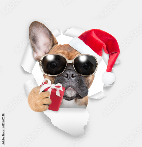 Ffrench bulldog puppy wearing sunglasses and red santa hat looking through a hole in white paper and holding gift box photo