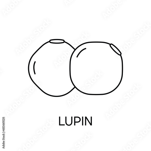 Lupine icon for food apps and websites. Vector illustration.