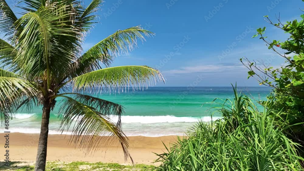 Aerial view drone shot of Tropical sea in Phuket thailand,Beautiful sea beach with coconut palm trees on the beach,Phuket island Thailand Aerial view drone shot of Tropical sea in Phuket thailand,Beautiful sea beach with coconut palm trees on the beach,Phuket island Thailand