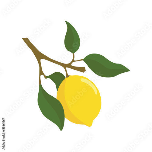 A lemon sprig with lemon fruits in a flat style. Vector illustration highlighted on a white background.