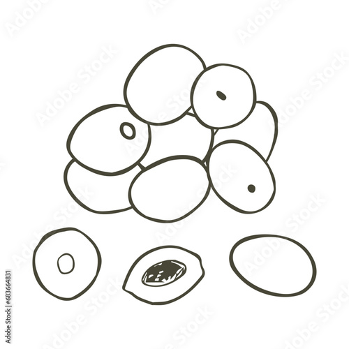 A handful of olives. Vector illustration. Hand-drawn olives on a white background.