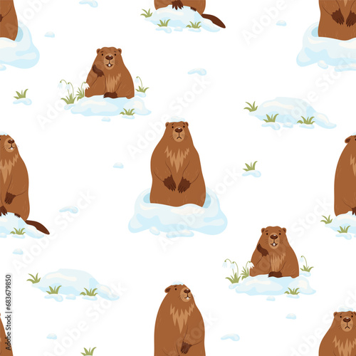Seamless pattern with cute marmots with snow and snowdrops on white background. Vector illustration. Holiday design, decor, packaging and wallpaper for Groundhog Day February 2.