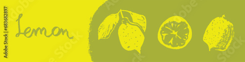 Template lemon banner with empty space for text. Lemon illustration in vector. Hand drawn citrus fruit for banner background, juice packaging, jam label, cosmetic packaging design.