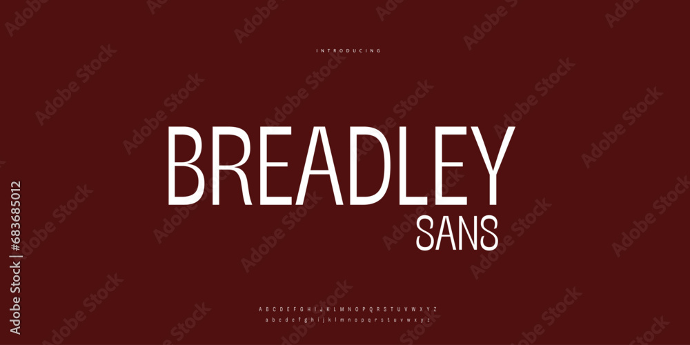 Elegant Font Uppercase Lowercase and Number. Classic Lettering Minimal Fashion Designs. Typography modern Sen Serif fonts regular decorative vintage concept. vector illustration. Elegant Font Uppercase Lowercase and Number. Classic Lettering Minimal Fashion Designs. Typography modern Sen Serif fonts regular decorative vintage concept. vector illustration.
