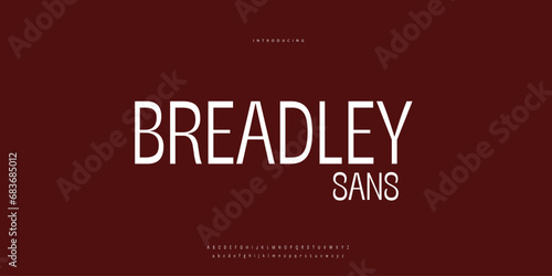 Elegant Font Uppercase Lowercase and Number. Classic Lettering Minimal Fashion Designs. Typography modern Sen Serif fonts regular decorative vintage concept. vector illustration.