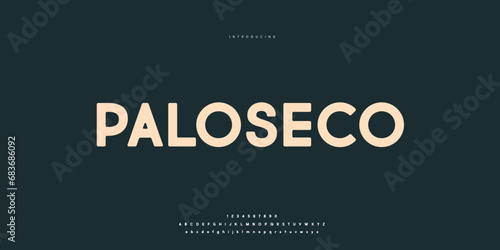 Elegant Font Uppercase Lowercase and Number. Classic Lettering Minimal Fashion Designs. Typography modern Sen Serif fonts regular decorative vintage concept. vector illustration.