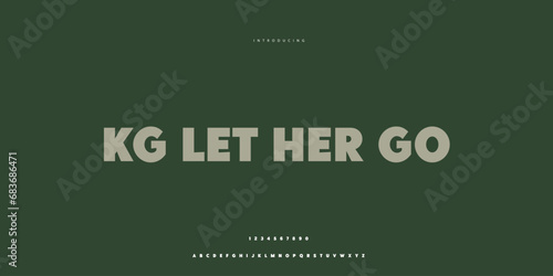 Elegant Font Uppercase Lowercase and Number. Classic Lettering Minimal Fashion Designs. Typography modern Sen Serif fonts regular decorative vintage concept. vector illustration.