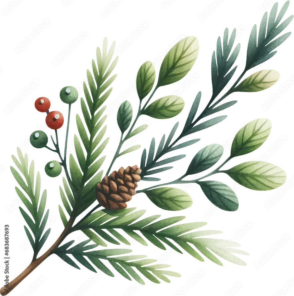 Obraz premium Delicate watercolor clipart of pine needles, perfect for creating Christmas themes, festive cards, and winter decorations. Adds a natural, serene touch.