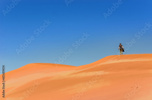 Tourist walking on beautiful sunrise red sand dunes  african adventure in Sossusvlei  Namib desert  Namibia  South Africa 