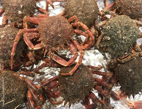 Marisco centollos pescadería photo