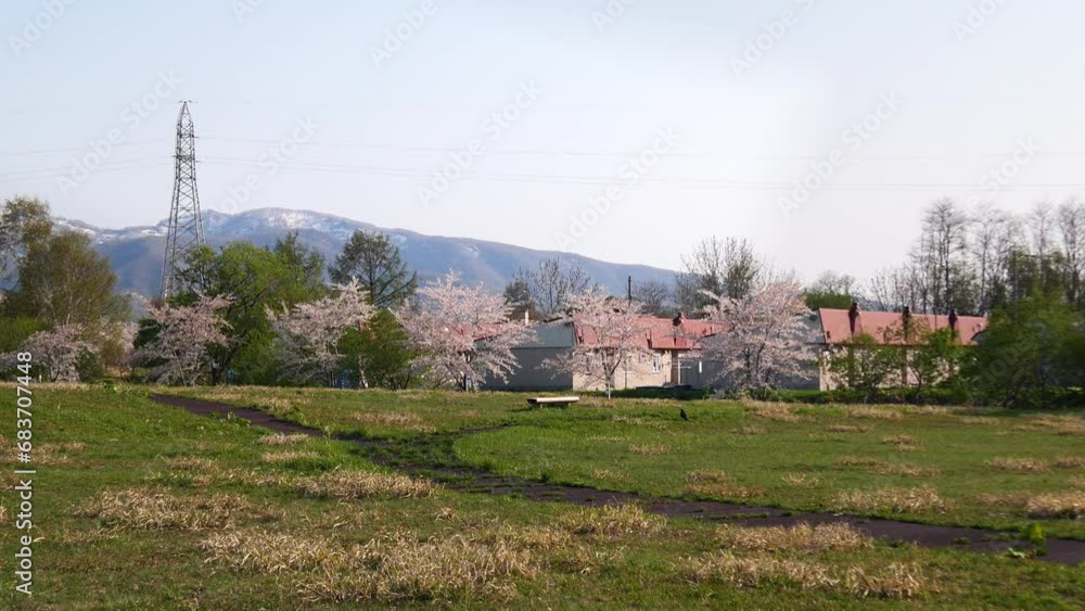 春の余市　北海道