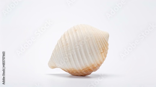 a close up of a shell