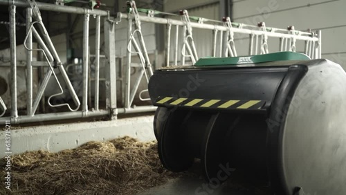 Feed Pusher Robot at the Dairy Farm with cows. Feeding cows by robot photo
