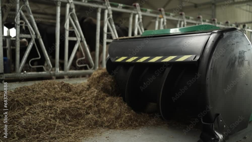 Feed Pusher Robot at the Dairy Farm with cows. Feeding cows by robot Feed Pusher Robot at the Dairy Farm with cows. Feeding cows by robot