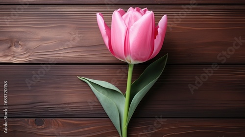 Pink Tulip Flower On Wood Background, Background Image, Desktop Wallpaper Backgrounds, HD