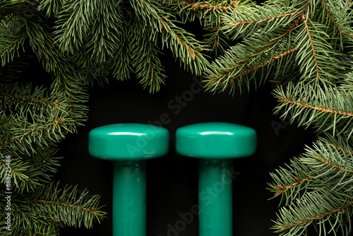 Green gym dumbbells and evergreen fir tree branches. Concept for Christmas fitness gift guide, holiday season workout motivation, healthy lifestyle winter wellness or New Year's resolutions.
