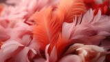 Coral Pink Vintage Color Trends Feather, Background Image, Desktop Wallpaper Backgrounds, HD