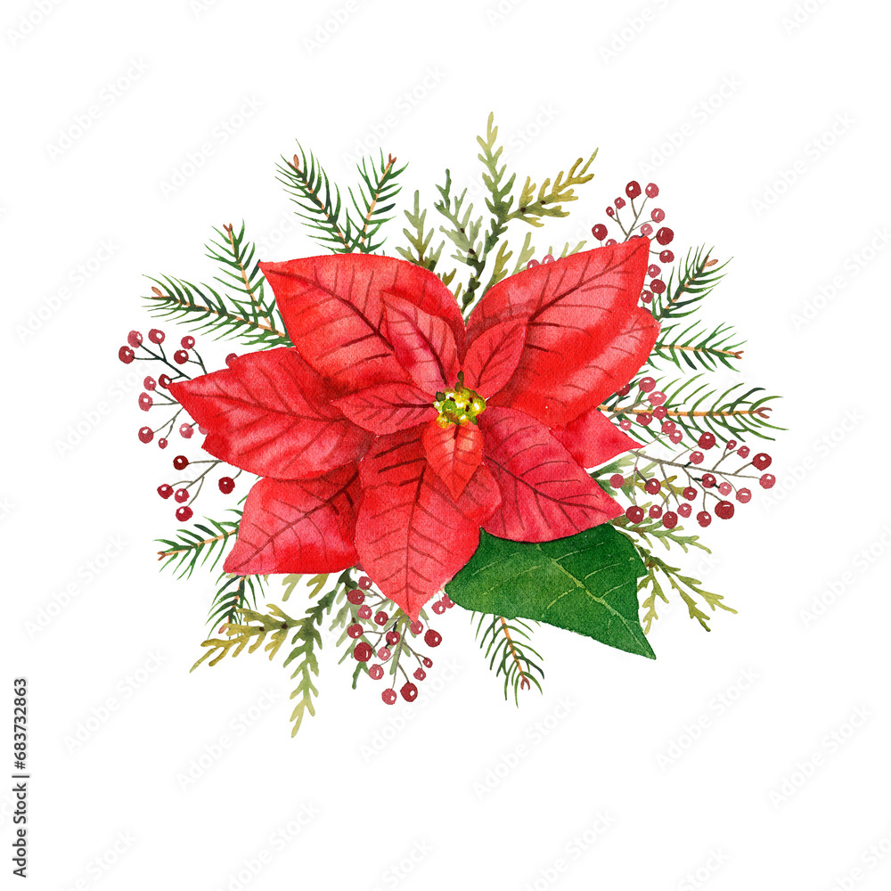 Watercolor illustration of red poinsettia flowers