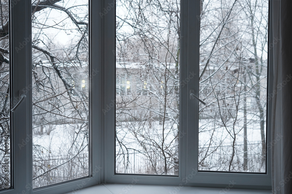Fototapeta premium Window frame, view from the window, landscape with winter park trees. 