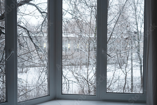 Window frame, view from the window, landscape with winter park trees. 