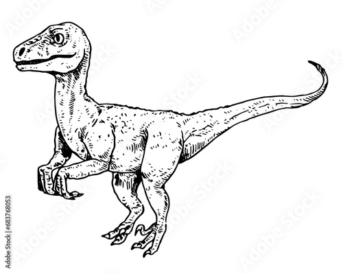 Raptor vector illustration
