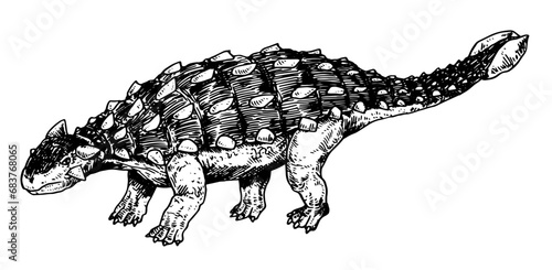 Ankylosaurus vector illustration
