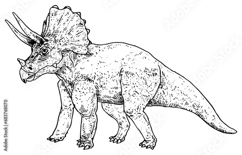 Triceratops vector illustration photo