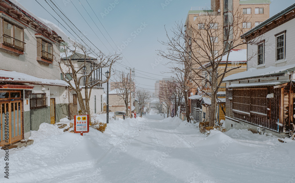 Winter in the streets of Hakodate, Japan