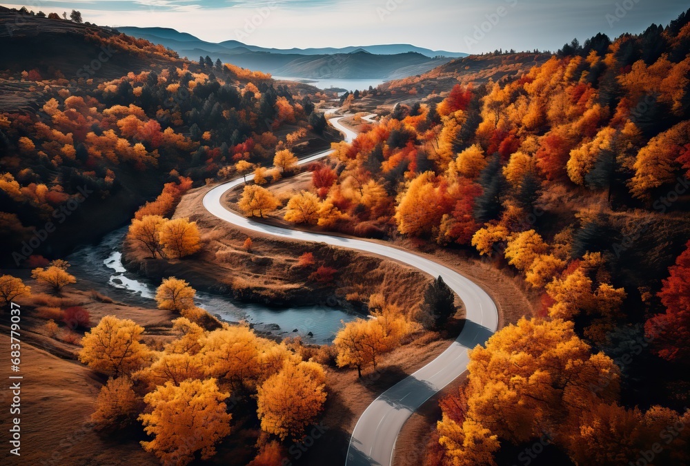 Route sinueuse vu par un drone aérienne dans la forêt canadienne en automne - obrazy, fototapety, plakaty 