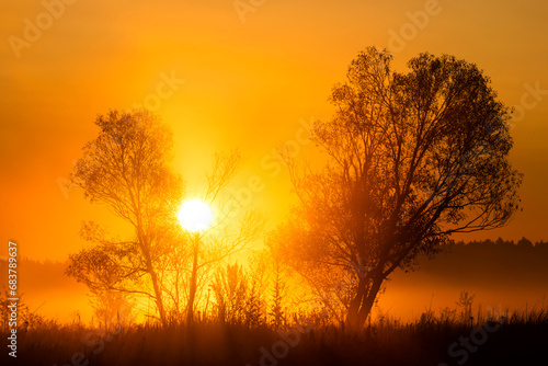 Silhouettes of trees in the fog and the rising orange sun by the river.