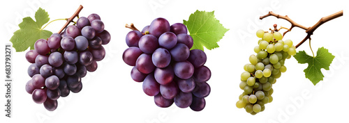 Grapes isolated on transparent background, png, Generative Ai