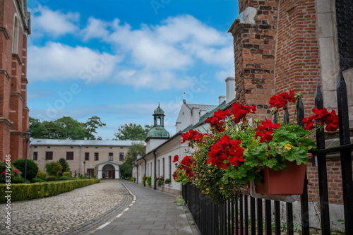 Red flowers in Krakow old town, narrow street, historic center in Krakow, Poland