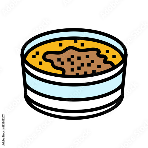 creme brulee french cuisine color icon vector. creme brulee french cuisine sign. isolated symbol illustration