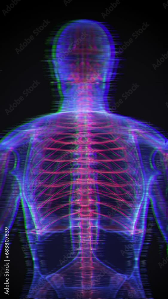 human skull skeleton and spine x-ray animation in 4K format human skull skeleton and spine x-ray animation in 4K format