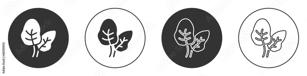 Black Tropical leaves of palm tree icon isolated on white background. Circle button. Vector