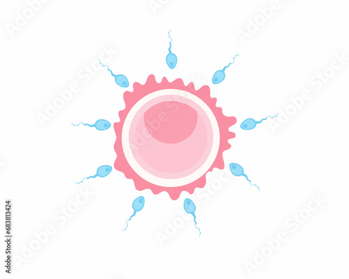 Female egg and male sperm Human sexual reproductive system and pregnancy