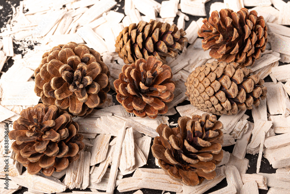 Black background with fir or pine cone and white stones Black background with fir or pine cone and white stones