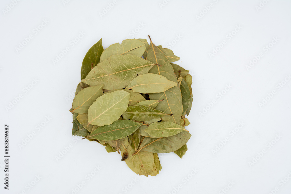 bay leaves isolated on a white background
bay leaves isolated on a white background