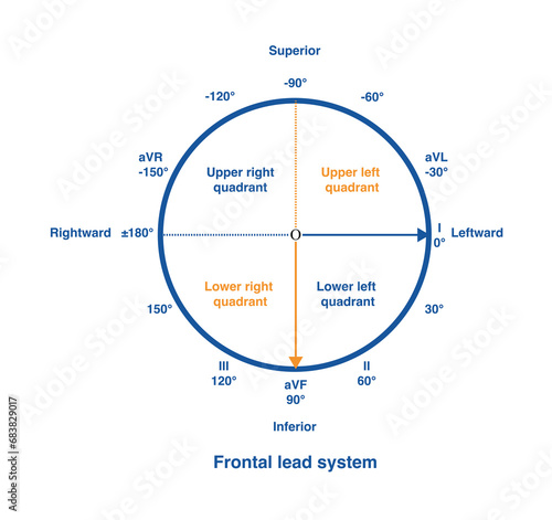 The frontal lead system can be divided into four quadrants: upper left, lower left, lower right, and upper right, describing the position of the vector.