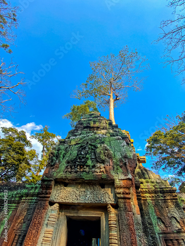 Ta Prohm, a mysterious temple of the Khmer civilization, located on the territory of Angkor in Cambodia photo