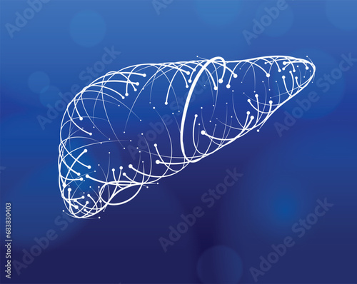 Illustration of white  lines and intersections of human liver, modern style, on darkblue background. It is used in medicine, commerce, industry and education.