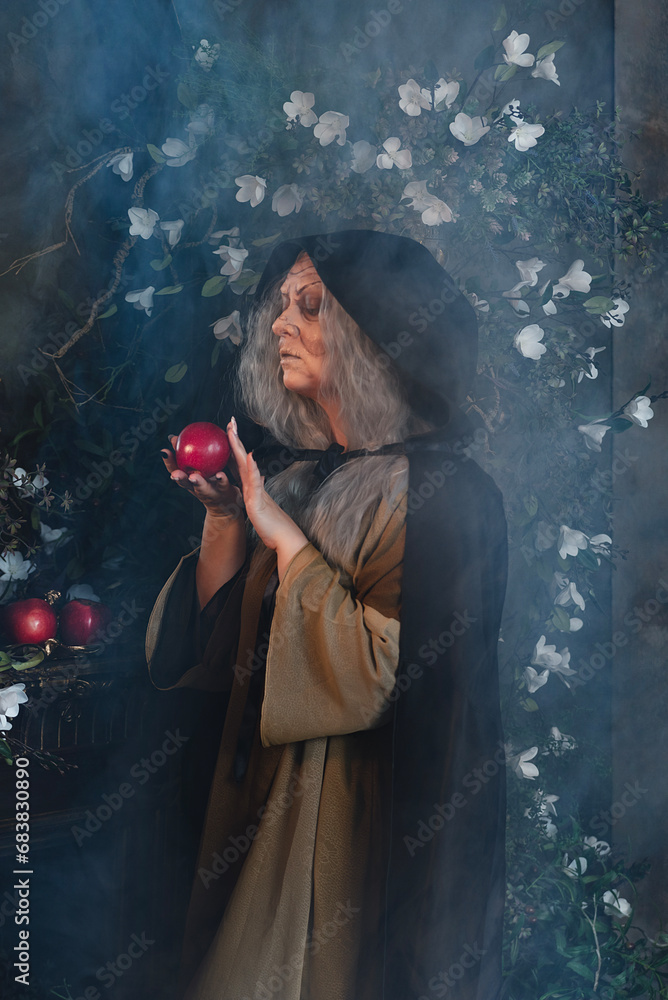 Wall Mural Stepmother witch gives poisoned red apple