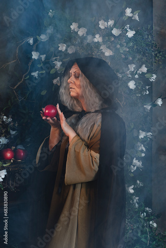 Obraz na plátne Stepmother witch gives poisoned red apple